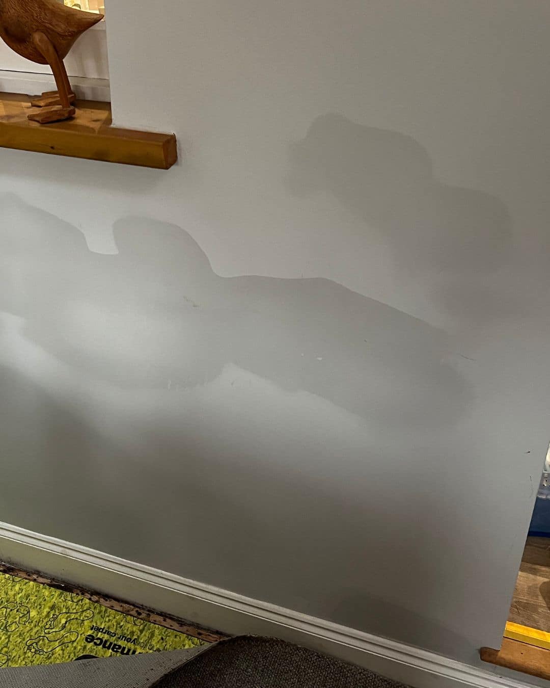Rising Damp Investigations & Surveys In Brighton