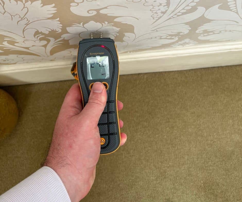 What Are The Symptoms Of Rising Damp?