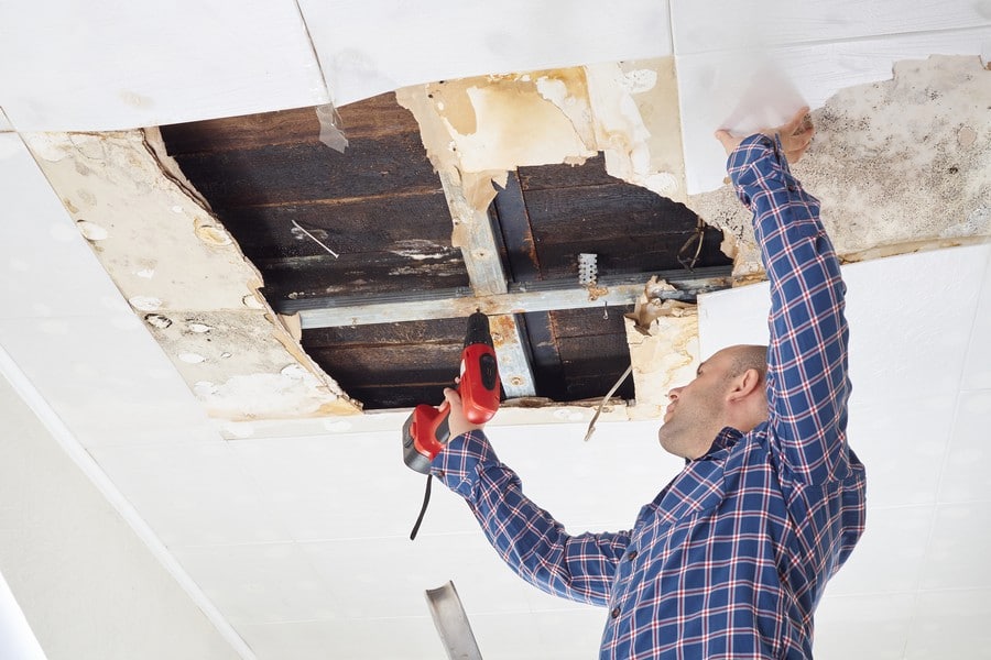 Damp Proofing Treatments & Repair For Ceilings In Brighton