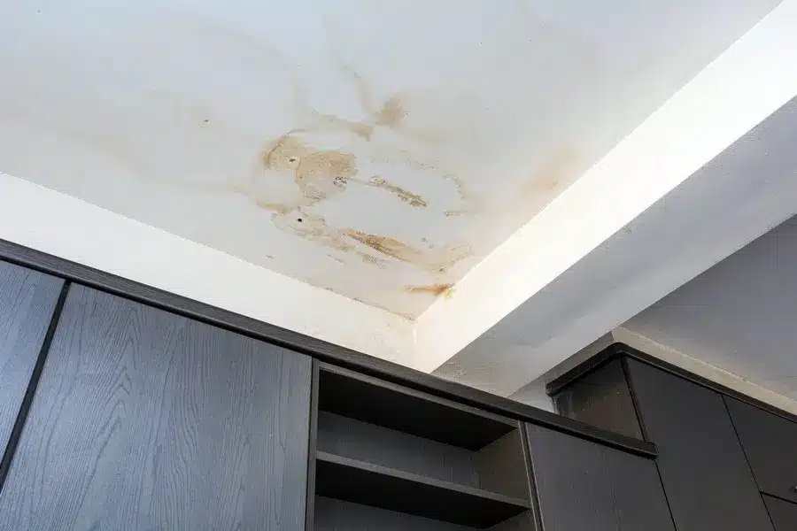 Penetrating Damp Investigations & Surveys in Brighton