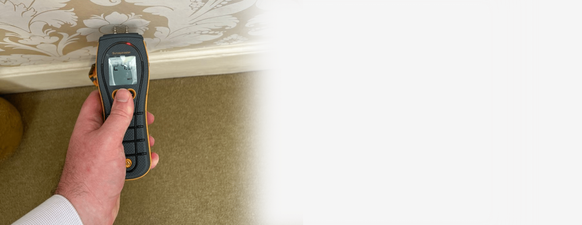 sussex damp experts