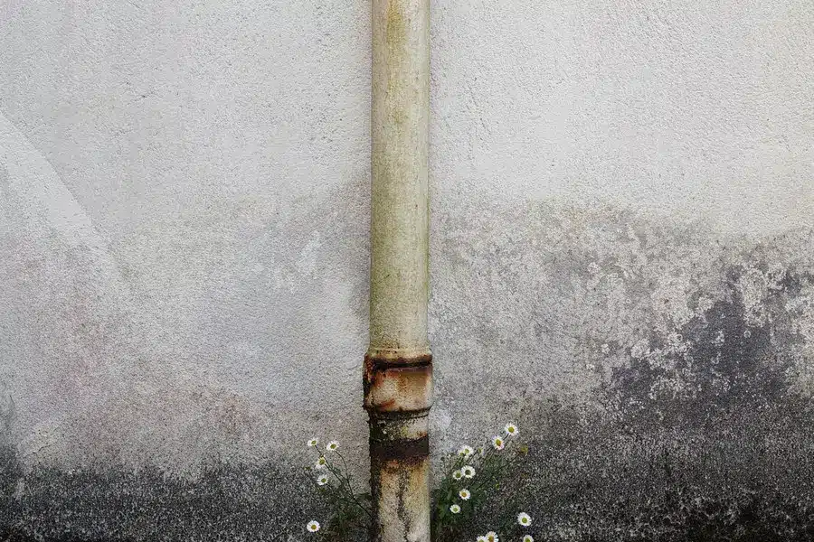 What Are the Causes of Penetrating Damp