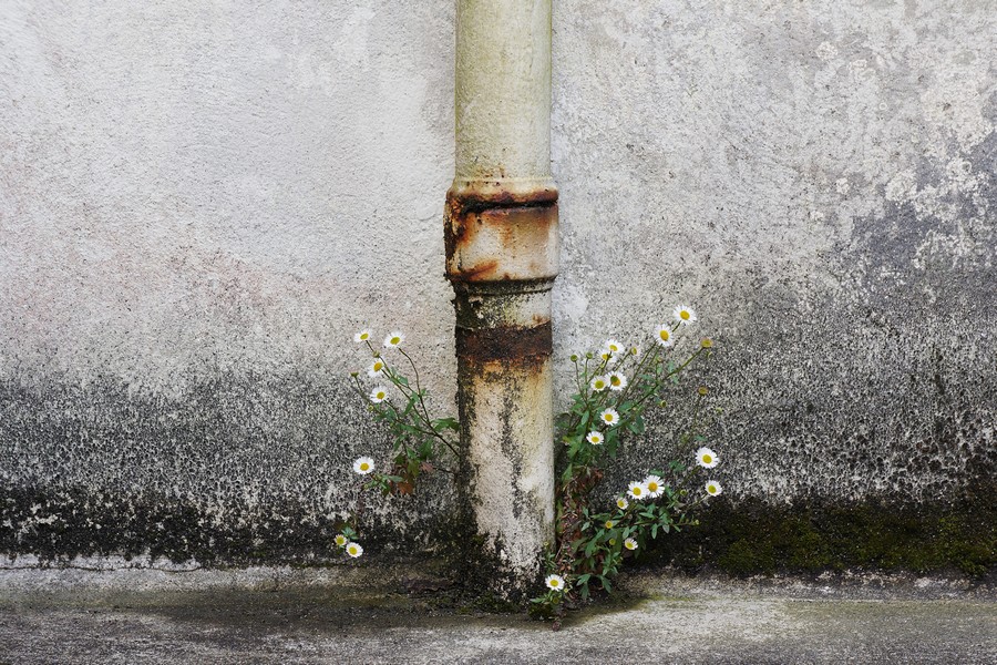 What Is Penetrating Damp