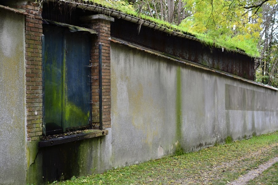 What Is Penetrating Damp