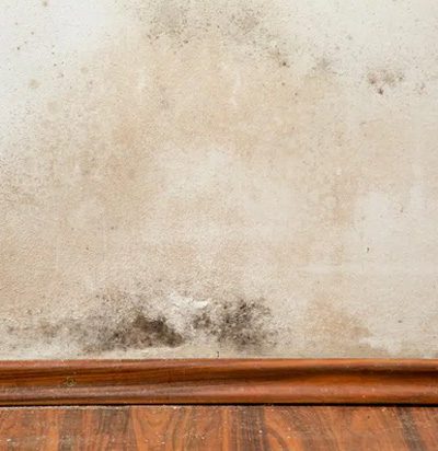 Treat Rising Damp