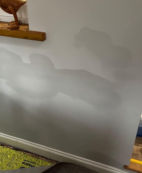 What Is Rising Damp?