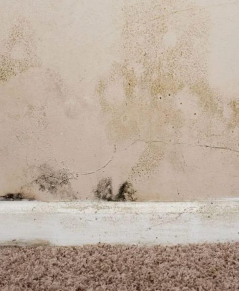 What Is Rising Damp?